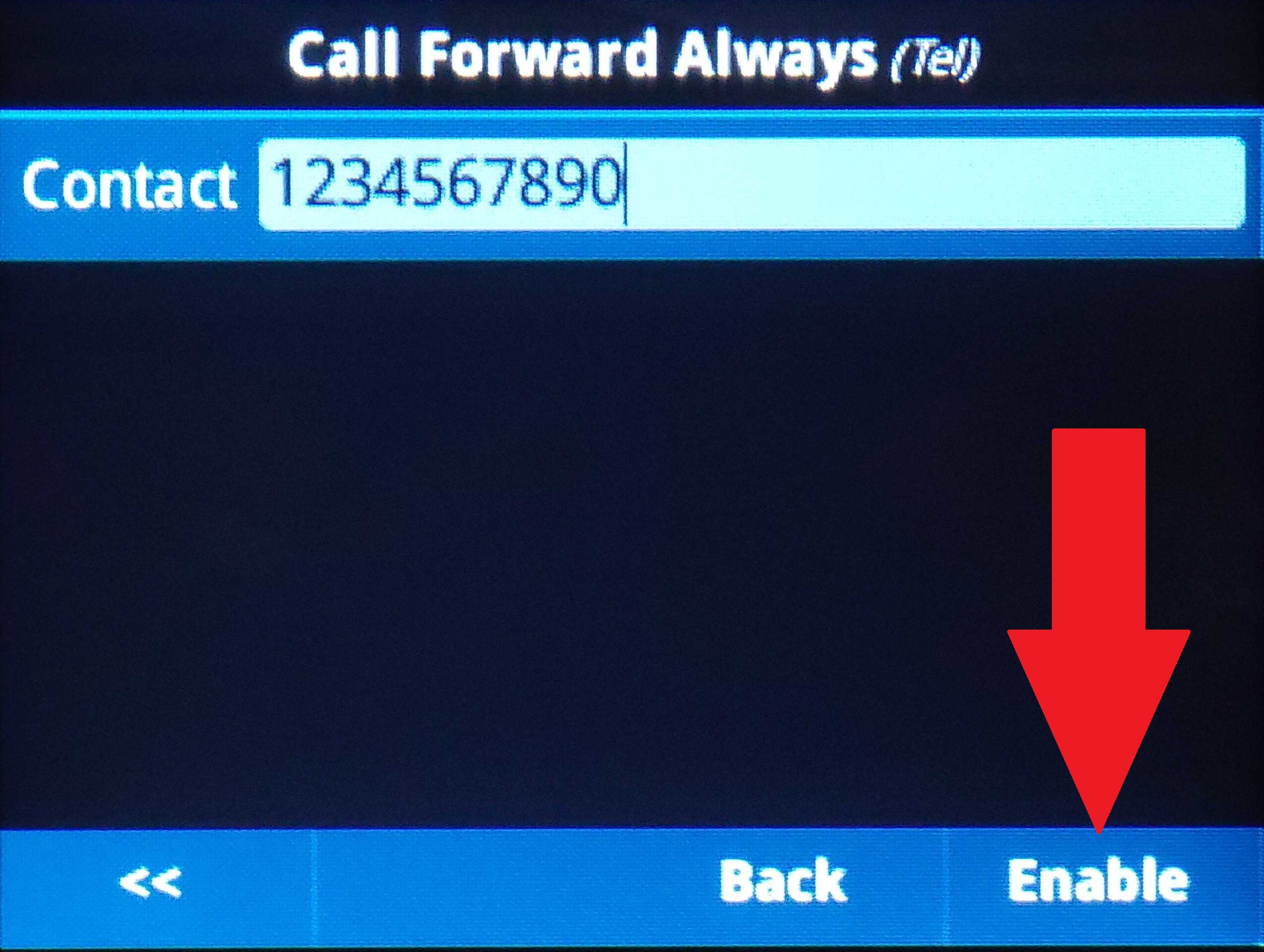 forardalways.jpg